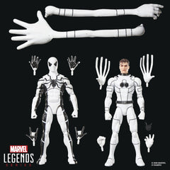 Future Foundation Marvel Legends Action Figure 2-Pack Mister Fantastic & Spider-Man 15 cm 5010996411174