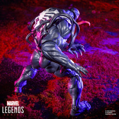 Marvel Rivals Marvel Legends Actionfiguren 2er-Pack Venom & Jeff the Land Shark 15 cmMarvel Rivals Marvel Legends Action Figure 2-Pack Venom & Jeff the Land Shark 15 cmMarvel Rivals Marvel Legends pack 2 figurines Venom & Jeff the Land Shark 15 cmMarvel R 5010996411280