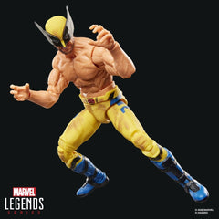 Deadpool & Wolverine Marvel Legends Action Figure Wolverine 15 cm 5010996411433