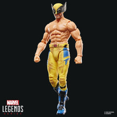 Deadpool & Wolverine Marvel Legends Action Figure Wolverine 15 cm 5010996411433