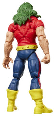 The Incredible Hulk Marvel Legends Action Figure Marvel's Doc Samson 15 cm 5010996411709
