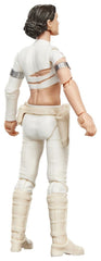 Star Wars Episode II Vintage Collection Action Figure Padmé Amidala (Geonosis) 10 cm 5010996407580