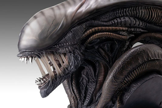 Alien Romulus Bust 1/1 Xenomorph 53 cm 0798118011925