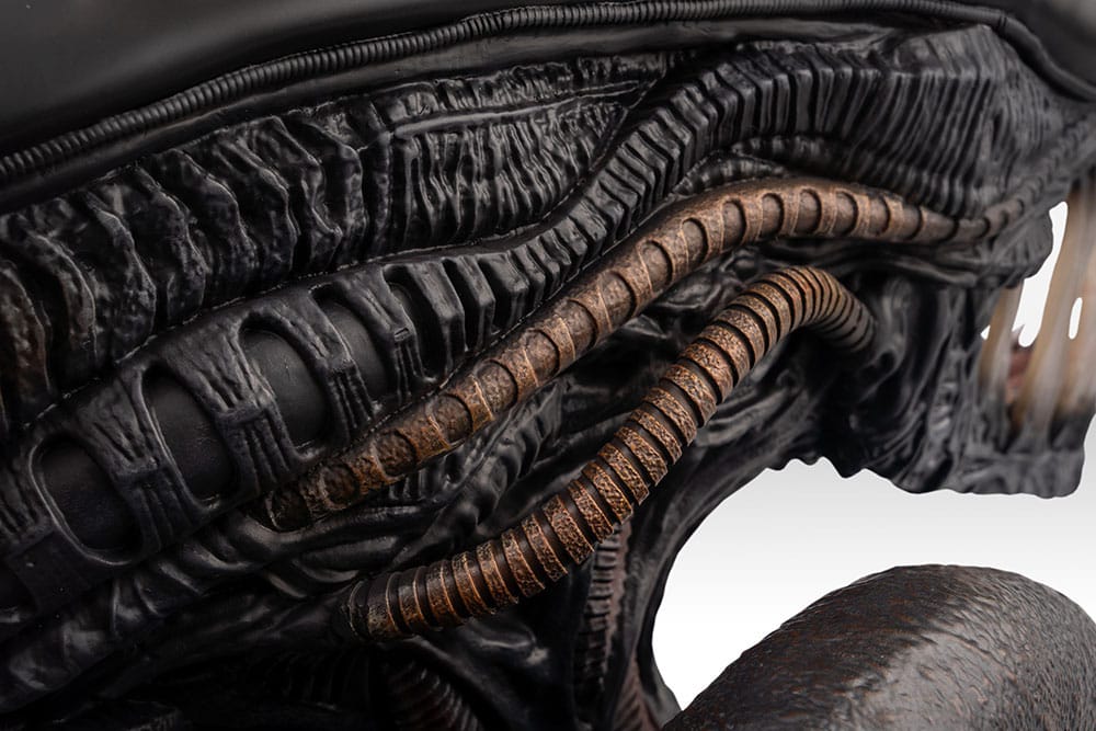 Alien Romulus Bust 1/1 Xenomorph 53 cm 0798118011925
