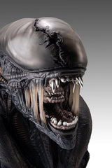 Alien Romulus Bust 1/1 Xenomorph 53 cm 0798118011925
