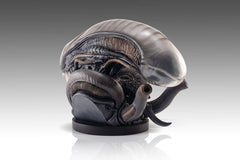 Alien Romulus Bust 1/1 Xenomorph 53 cm 0798118011925