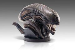 Alien Romulus Bust 1/1 Xenomorph 53 cm 0798118011925