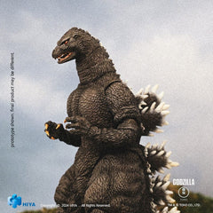 Godzilla Exquisite Basic Action Figure Godzilla vs King Ghidorah Godzilla Hokkaido 18 cm 6957534203442