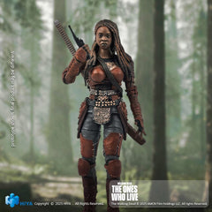 The Walking Dead: The Ones Who Lived Exquisite Mini Action Figure 1/18 Michonne 10 cm 6957534203589