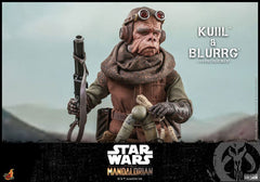 Star Wars The Mandalorian Action Figure 2-Pack 1/6 Kuiil & Blurrg 37 cm 908593