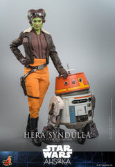 Star Wars: Ahsoka Action Figure 1/6 Hera Syndulla 28 cm 4895228615848