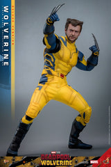 Deadpool & Wolverine Movie Masterpiece Action Figure 1/6 Wolverine (Deluxe Version) 31 cm 4895228618344
