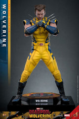 Deadpool & Wolverine Movie Masterpiece Action Figure 1/6 Wolverine (Deluxe Version) 31 cm 4895228618344