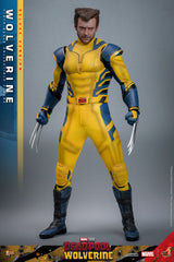 Deadpool & Wolverine Movie Masterpiece Action Figure 1/6 Wolverine (Deluxe Version) 31 cm 4895228618344