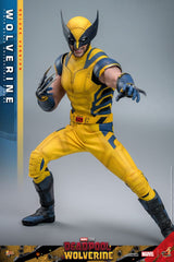 Deadpool & Wolverine Movie Masterpiece Action Figure 1/6 Wolverine (Deluxe Version) 31 cm 4895228618344