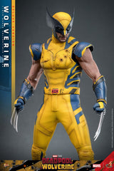 Deadpool & Wolverine Movie Masterpiece Action Figure 1/6 Wolverine (Deluxe Version) 31 cm 4895228618344