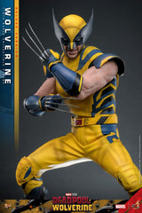 Deadpool & Wolverine Movie Masterpiece Action Figure 1/6 Wolverine (Deluxe Version) 31 cm 4895228618344