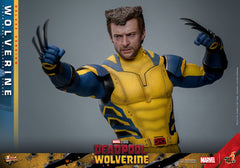 Deadpool & Wolverine Movie Masterpiece Action Figure 1/6 Wolverine (Deluxe Version) 31 cm 4895228618344