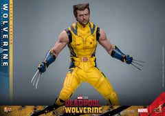 Deadpool & Wolverine Movie Masterpiece Action Figure 1/6 Wolverine (Deluxe Version) 31 cm 4895228618344