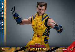 Deadpool & Wolverine Movie Masterpiece Action Figure 1/6 Wolverine (Deluxe Version) 31 cm 4895228618344