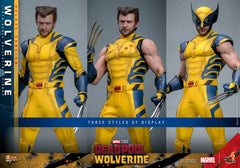 Deadpool & Wolverine Movie Masterpiece Action Figure 1/6 Wolverine (Deluxe Version) 31 cm 4895228618344