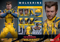 Deadpool & Wolverine Movie Masterpiece Action Figure 1/6 Wolverine (Deluxe Version) 31 cm 4895228618344