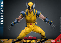 Deadpool & Wolverine Movie Masterpiece Action Figure 1/6 Wolverine 31 cm 4895228618337