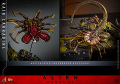 Alien: Romulus Movie Masterpiece Action Figure 1/6 Rain Carradine 26 cm 914037
