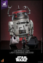 Star Wars Action Figure Set 1/6 Chopper (C1-10P&trade) & BD-1&trade (Imperial Disguise) 18 cm & 8 cm 4895228620989