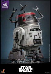 Star Wars Action Figure Set 1/6 Chopper (C1-10P&trade) & BD-1&trade (Imperial Disguise) 18 cm & 8 cm 4895228620989