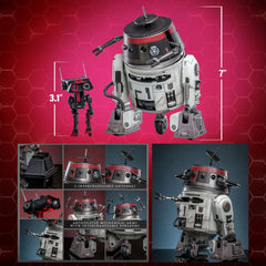 Star Wars Action Figure Set 1/6 Chopper (C1-10P&trade) & BD-1&trade (Imperial Disguise) 18 cm & 8 cm 4895228620989
