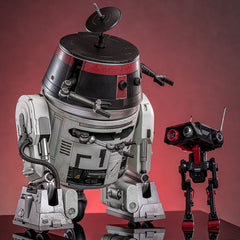 Star Wars Action Figure Set 1/6 Chopper (C1-10P&trade) & BD-1&trade (Imperial Disguise) 18 cm & 8 cm 4895228620989