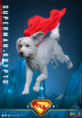Superman (2025) Movie Masterpiece Action Figure 1/6 Superman & Krypto 33 cm 4895228621696