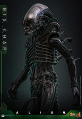 Alien Movie Masterpiece Action Figure 1/6 Big Chap 36 cm 4895228622556