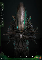 Alien Movie Masterpiece Action Figure 1/6 Big Chap 36 cm 4895228622556