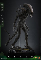 Alien Movie Masterpiece Action Figure 1/6 Big Chap 36 cm 4895228622556