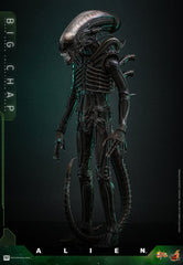 Alien Movie Masterpiece Action Figure 1/6 Big Chap 36 cm 4895228622556