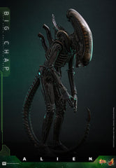 Alien Movie Masterpiece Action Figure 1/6 Big Chap 36 cm 4895228622556
