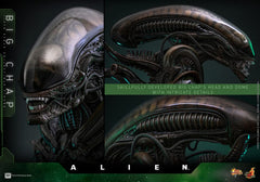 Alien Movie Masterpiece Action Figure 1/6 Big Chap 36 cm 4895228622556