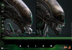Alien Movie Masterpiece Action Figure 1/6 Big Chap 36 cm 4895228622556