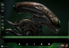 Alien Movie Masterpiece Action Figure 1/6 Big Chap 36 cm 4895228622556