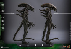 Alien Movie Masterpiece Action Figure 1/6 Big Chap 36 cm 4895228622556