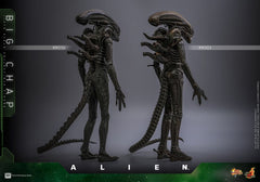 Alien Movie Masterpiece Action Figure 1/6 Big Chap 36 cm 4895228622556