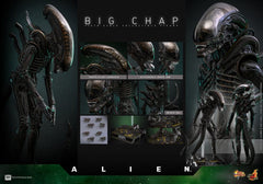 Alien Movie Masterpiece Action Figure 1/6 Big Chap 36 cm 4895228622556