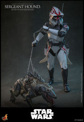 Star Wars: The Clone Wars Action Figure 1/6 Sergeant Hound 30 cm 4895228623225