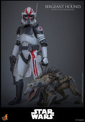 Star Wars: The Clone Wars Action Figure 1/6 Sergeant Hound 30 cm 4895228623225