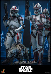 Star Wars: The Clone Wars Action Figure 1/6 Sergeant Hound 30 cm 4895228623225