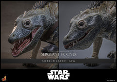 Star Wars: The Clone Wars Action Figure 1/6 Sergeant Hound 30 cm 4895228623225