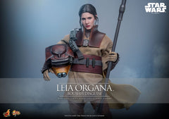 Star Wars Episode VI Movie Masterpiece Action Figure 1/6 Leia Organa (Boushh Disguise) 27 cm 4895228623966
