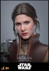 Star Wars Episode VI Movie Masterpiece Action Figure 1/6 Leia Organa (Boushh Disguise) 27 cm 4895228623966